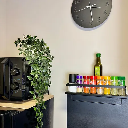 Appartement Ankommen & Wohlfuehlen - Ihr Stilvolles Zuhause *