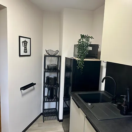 Apartamento Ankommen & Wohlfuehlen - Ihr Stilvolles Zuhause Dresden